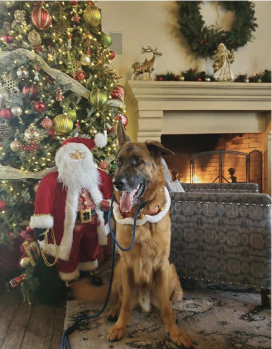 Dieter at the Cypress Inn, Carmel, CA