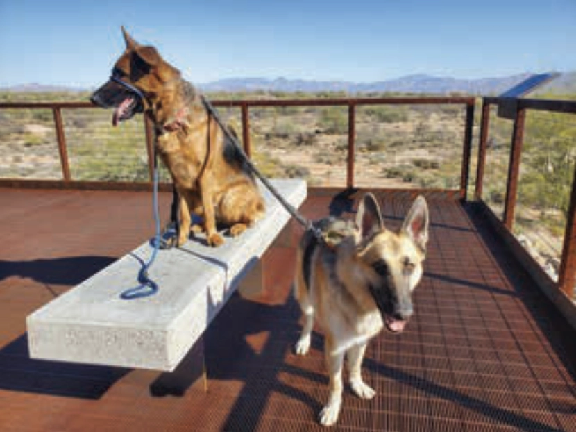 Duke, age ten, on the right and Dieter, age three.